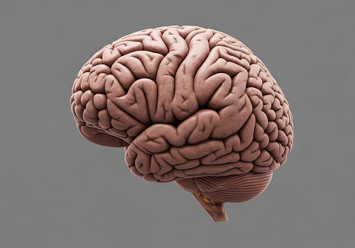 کشف نگران‌کننده محققان در مورد یه عامل مرتبط با آلزایمر: «هنوزم واقعاً ازش شوکه هستم»