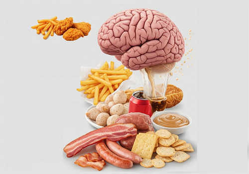 جدیدترین تحقیق رتبه‌بندی کرده: این هله‌هوله‌ها بیشتر از همه به مغز آسیب می‌زنن!